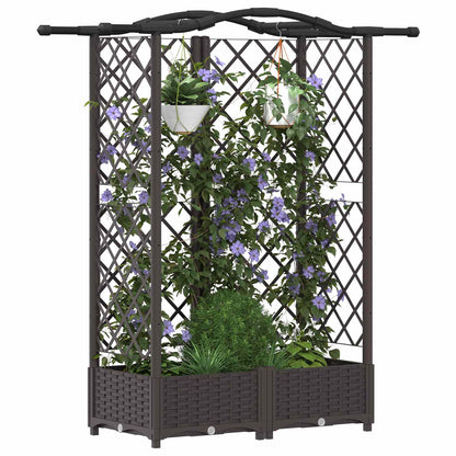 Verhoogd Bed Met Trellis En Dak Pp
