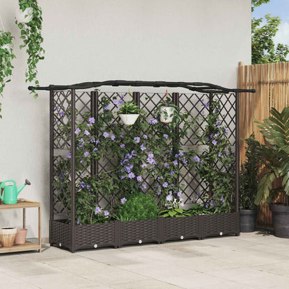 Verhoogd Bed Met Trellis En Dak Pp