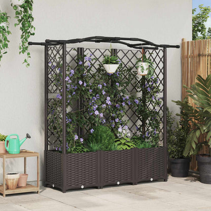 Verhoogd Bed Met Trellis En Dak Pp