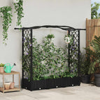 169 x 40 x 125 cm / met een gebogen dak (2 zijkanten trellis)