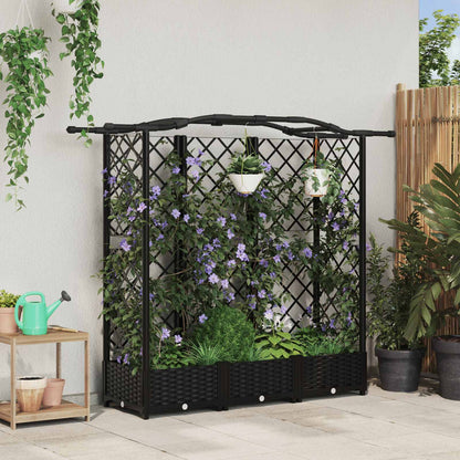 Verhoogd Bed Met Trellis En Dak Pp