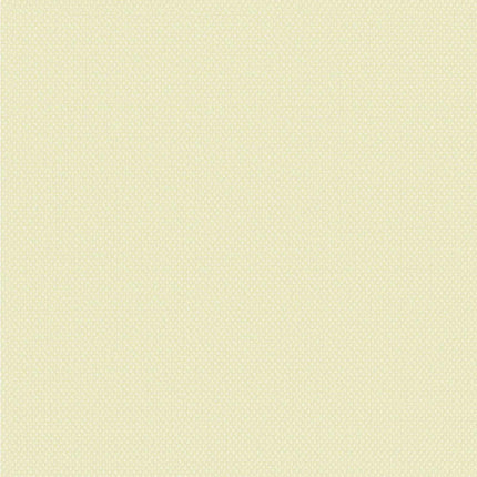 S 2 St. 47 X 36 X 2 Cm Polyester