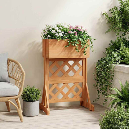 Verticale Tuin Trellis 48 X 30 X 70,5 Cm
