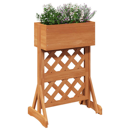 Verticale Tuin Trellis 48 X 30 X 70,5 Cm