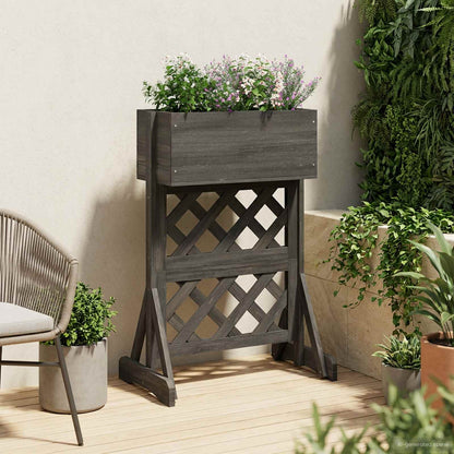 Verticale Tuin Trellis 48 X 30 X 70,5 Cm