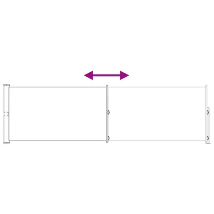 Uittrekbaar Zijscherm 300 X 120 Cm Polyester Beige