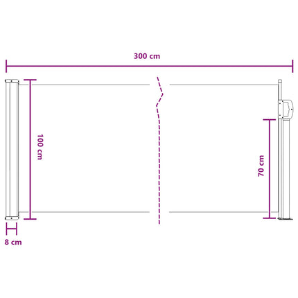 Uittrekbaar Zijscherm 300 X 100 Cm Polyester Grijs