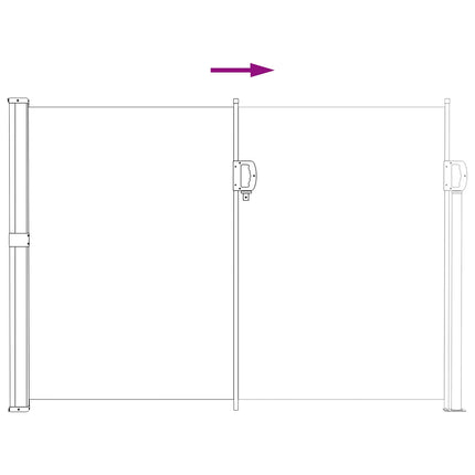 Uittrekbaar Zijscherm 300 X 170 Cm Polyester Antracietkleurig