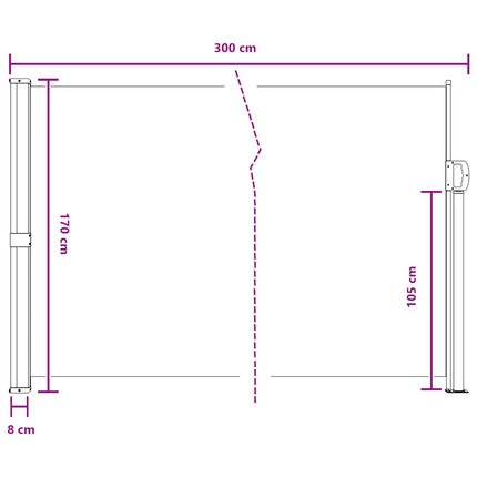 Uittrekbaar Zijscherm 300 X 170 Cm Polyester Antracietkleurig