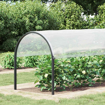 Plantenhoes Doorzichtig Pe