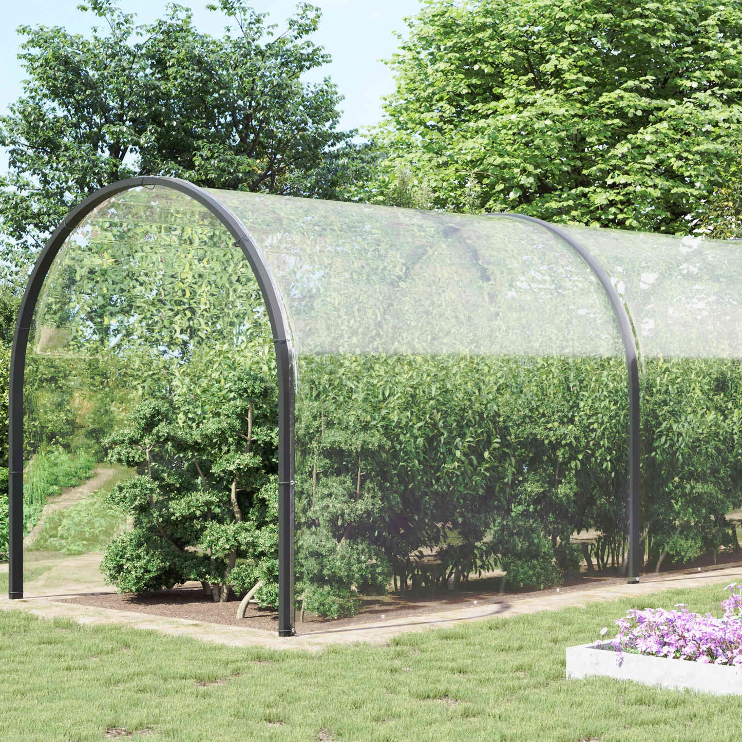 Plantenhoes Doorzichtig 2,5 X 1 M Pvc