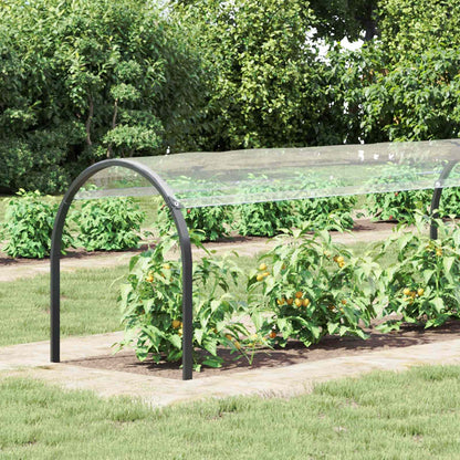 Plantenhoes Doorzichtig 2,5 X 1 M Pvc