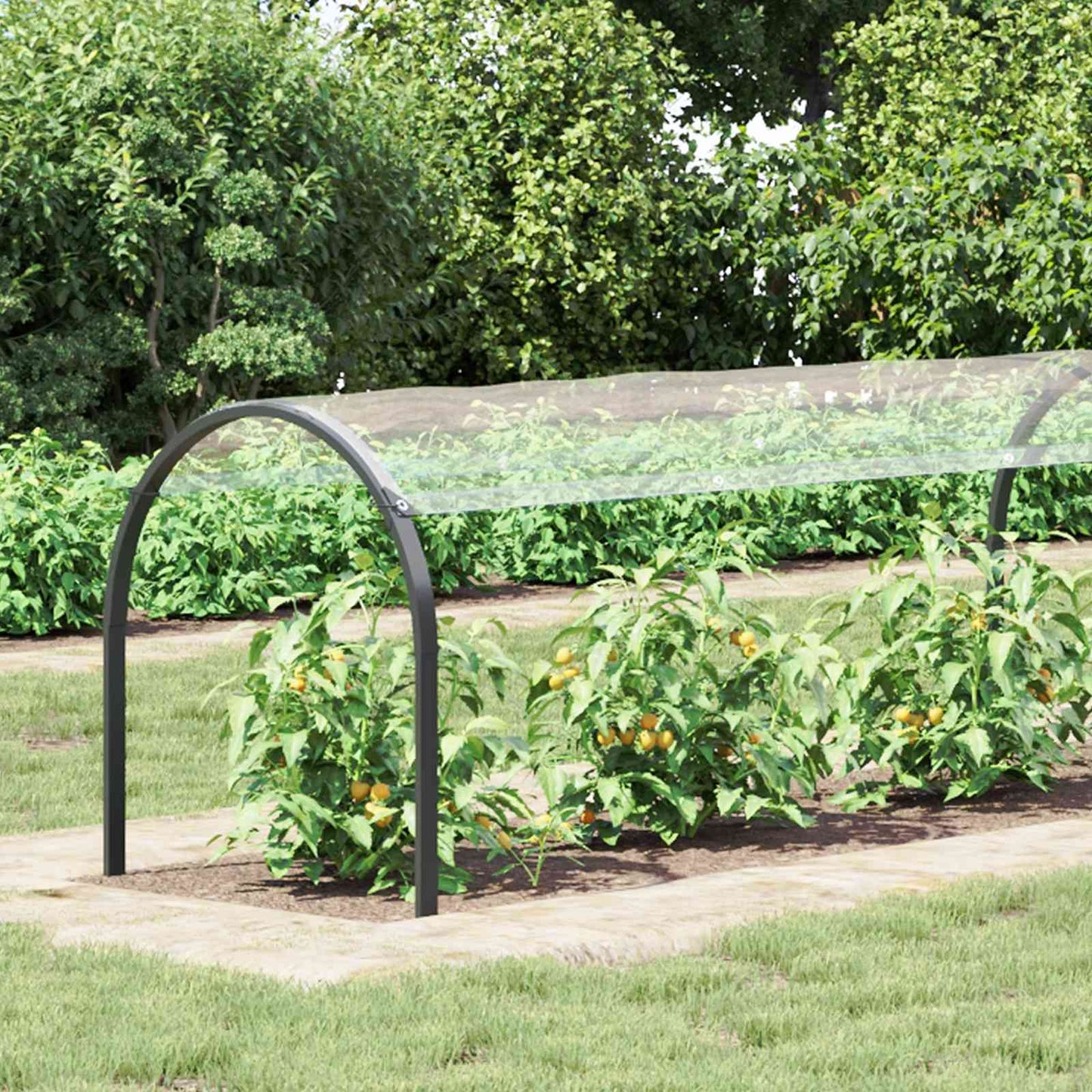 Plantenhoes Doorzichtig 2,5 X 1 M Pvc