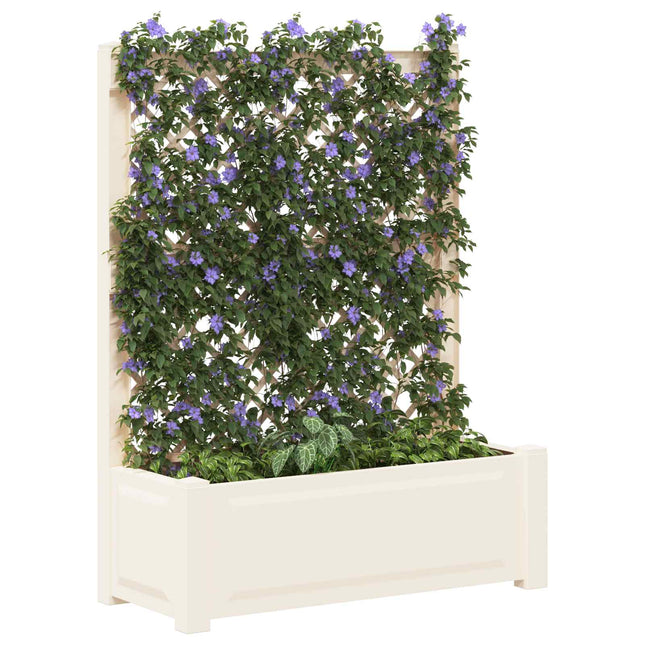 Grote Plantenbak Met Trellis Pp