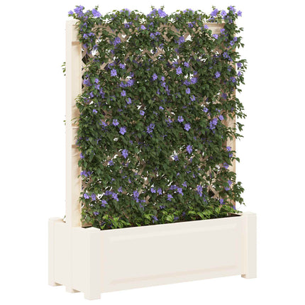 Grote Planter Met Trellis 99,5 X 43 X 133,5 Pp