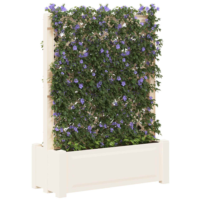 Grote Planter Met Trellis 99,5 X 43 X 133,5 Pp