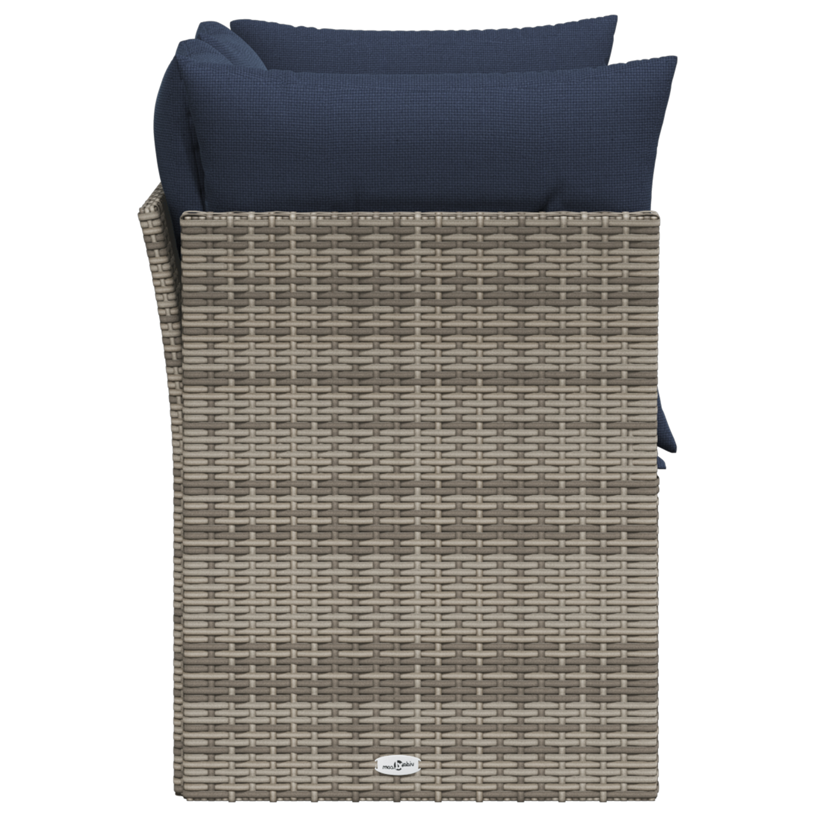 Tuinbank 2-Zits Met Kussens Poly Rattan